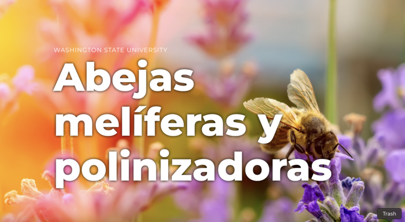 abejas site header